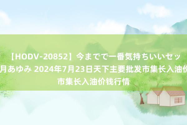 【HODV-20852】今までで一番気持ちいいセックス 望月あゆみ 2024年7月23日天下主要批发市集长入油价钱行情