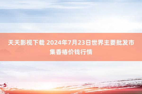 天天影视下载 2024年7月23日世界主要批发市集香椿价钱行情