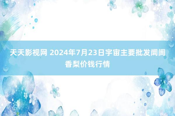 天天影视网 2024年7月23日宇宙主要批发阛阓香梨价钱行情