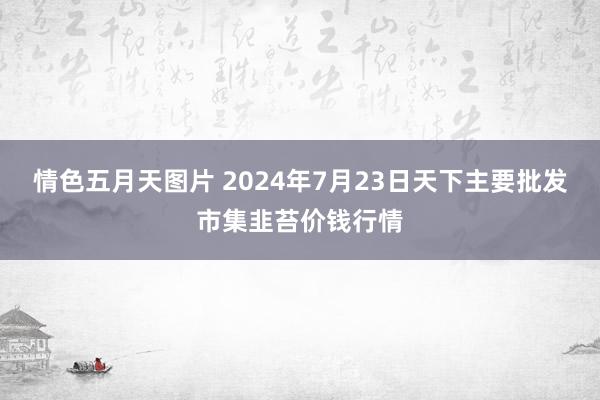 情色五月天图片 2024年7月23日天下主要批发市集韭苔价钱行情