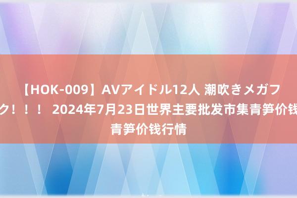 【HOK-009】AVアイドル12人 潮吹きメガファック！！！ 2024年7月23日世界主要批发市集青笋价钱行情