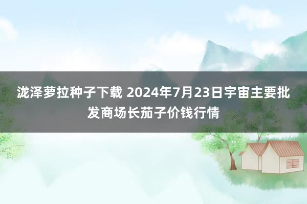 泷泽萝拉种子下载 2024年7月23日宇宙主要批发商场长茄子价钱行情