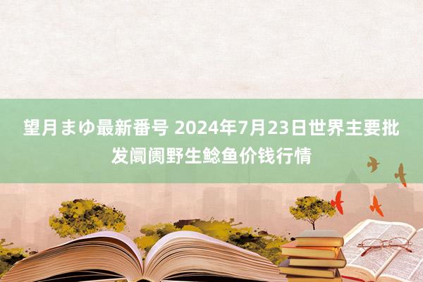 望月まゆ最新番号 2024年7月23日世界主要批发阛阓野生鲶鱼价钱行情