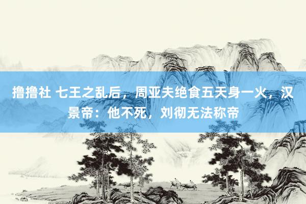 撸撸社 七王之乱后，周亚夫绝食五天身一火，汉景帝：他不死，刘彻无法称帝