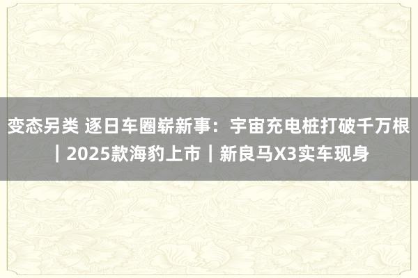 变态另类 逐日车圈崭新事：宇宙充电桩打破千万根｜2025款海豹上市｜新良马X3实车现身