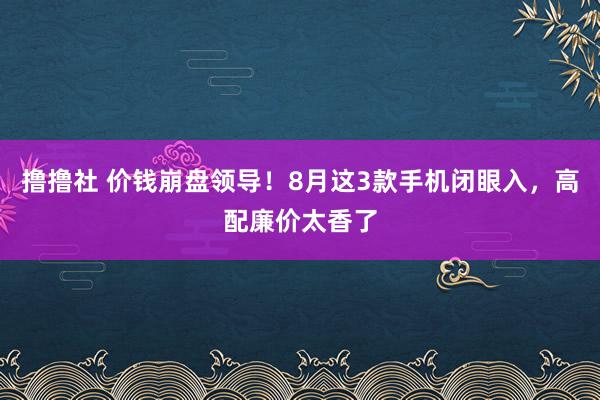 撸撸社 价钱崩盘领导！8月这3款手机闭眼入，高配廉价太香了