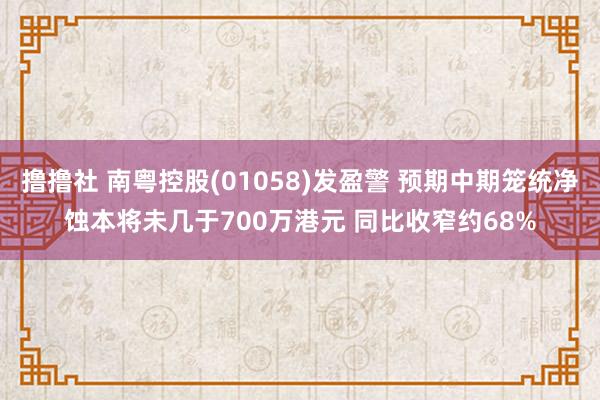 撸撸社 南粤控股(01058)发盈警 预期中期笼统净蚀本将未几于700万港元 同比收窄约68%