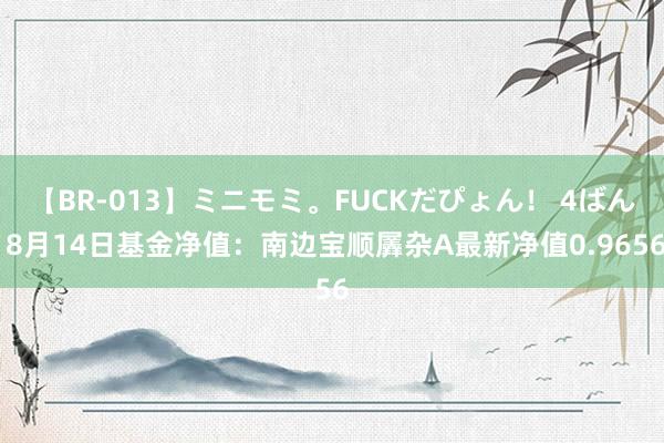 【BR-013】ミニモミ。FUCKだぴょん！ 4ばん 8月14日基金净值：南边宝顺羼杂A最新净值0.9656