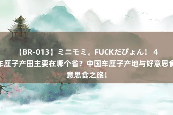 【BR-013】ミニモミ。FUCKだぴょん！ 4ばん 车厘子产田主要在哪个省？中国车厘子产地与好意思食之旅！