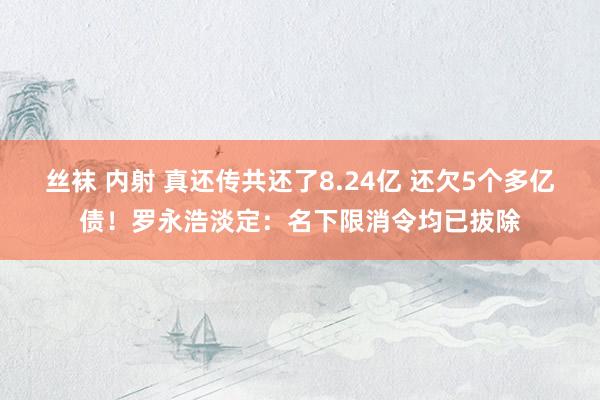 丝袜 内射 真还传共还了8.24亿 还欠5个多亿债！罗永浩淡定：名下限消令均已拔除