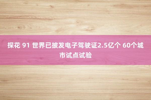 探花 91 世界已披发电子驾驶证2.5亿个 60个城市试点试验