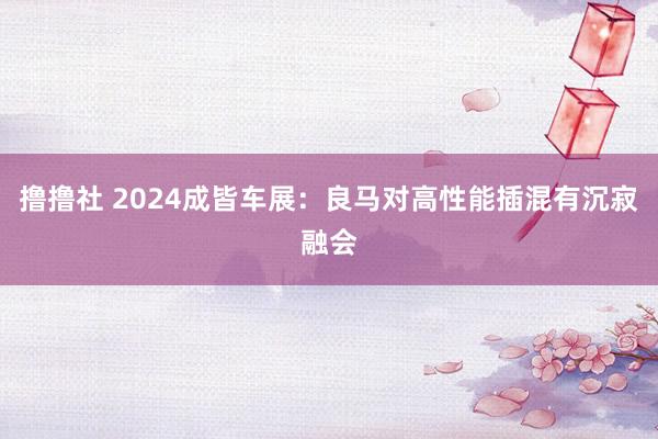 撸撸社 2024成皆车展：良马对高性能插混有沉寂融会