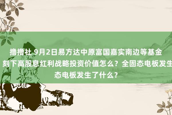 撸撸社 9月2日易方达中原富国嘉实南边等基金大咖说：刻下高股息红利战略投资价值怎么？全固态电板发生了什么？