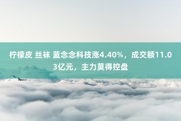 柠檬皮 丝袜 蓝念念科技涨4.40%，成交额11.03亿元，主力莫得控盘