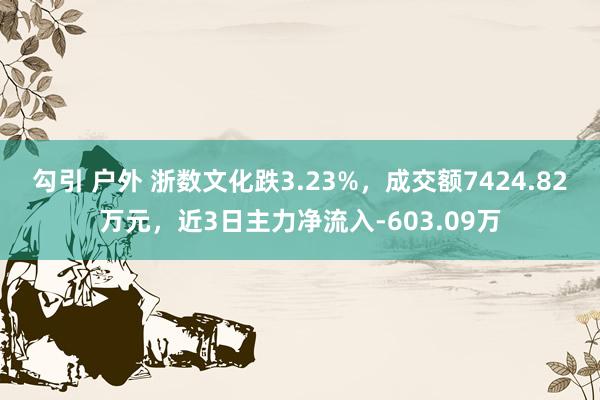 勾引 户外 浙数文化跌3.23%，成交额7424.82万元，近3日主力净流入-603.09万