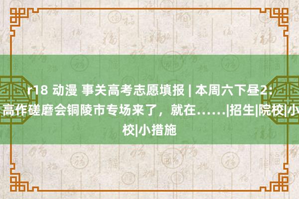 r18 动漫 事关高考志愿填报 | 本周六下昼2：30，高作磋磨会铜陵市专场来了，就在……|招生|院校|小措施